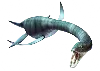 Plesiosaur