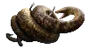 Titanoboa